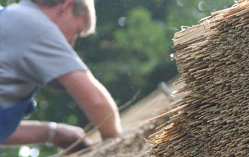 professional Radstock thatchers